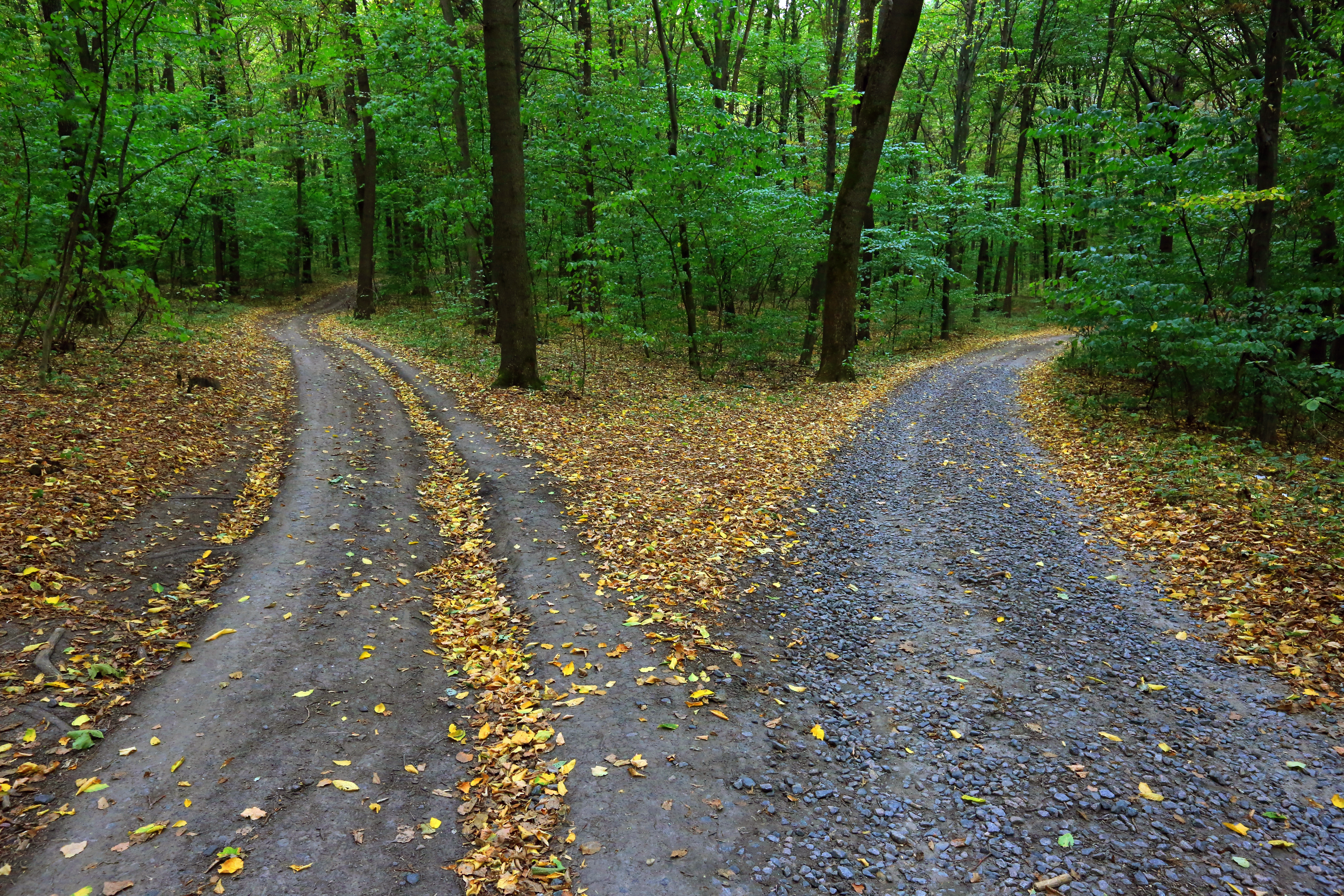 Eco-Friendly Burials: What You Should Know