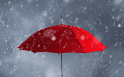 When Life’s Storms Strike: A Minnesota Trust Lawyer’s Guide to Protecting Your Estate and Insurance Coverage
