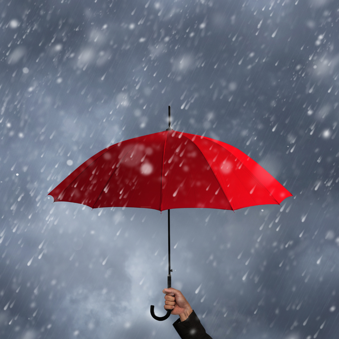 When Life's Storms Strike: A Minnesota Trust Lawyer's Guide to Protecting Your Estate and Insurance Coverage