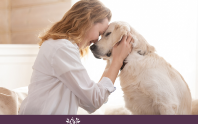 Monticello Pet Trust Lawyer | Estate Planning for Pets in Minnesota